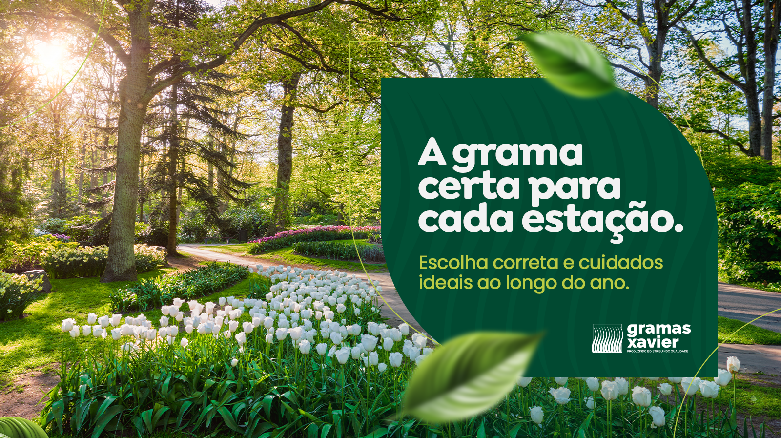 Banners Site - Gramas Xavier 4